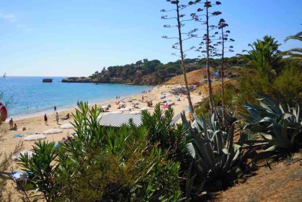 Vacations Home Albufeira Exterior photo